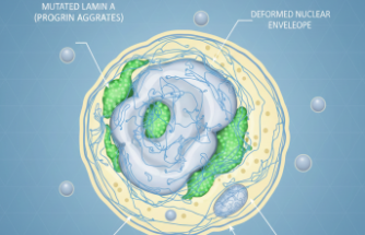 Zamanın Hızla Akıp Gittiği Küçük Bedenler