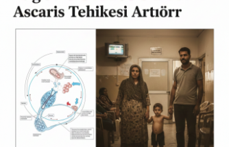 Bağırsak Enfeksiyonlarında Ascaris Tehlikesi Artıyor