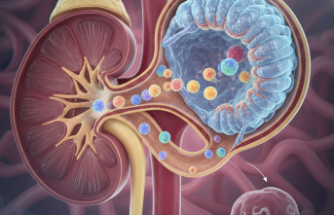 Böbreklerde Protein Kaybı Alarm Veriyor: Nefrotik Sendrom Riski
