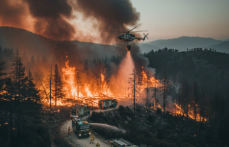 Eales Bölgesinde Orman Yangını: Ekipler Seferber Oldu
