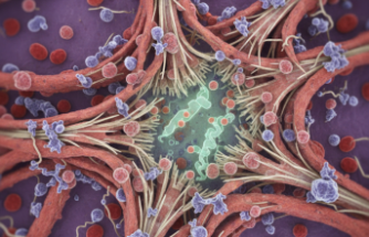 Nadir Görülen Harlequin Tipi İktiyozis Hakkında Bilinmesi Gerekenler