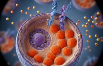 Nadir Görülen Tangier Hastalığı Hakkında Yeni Raporlar