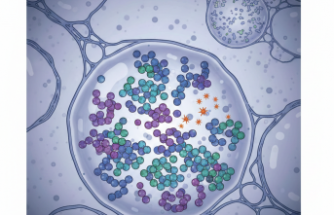 Schindler Hastalığı: Nadir Görülen Genetik Teşhisler Mercek Altında