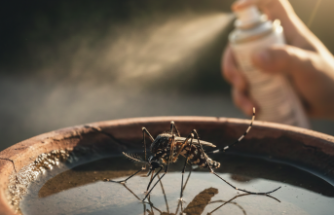 Tropikal Tehlike: Dang Humması Kapıda mı?