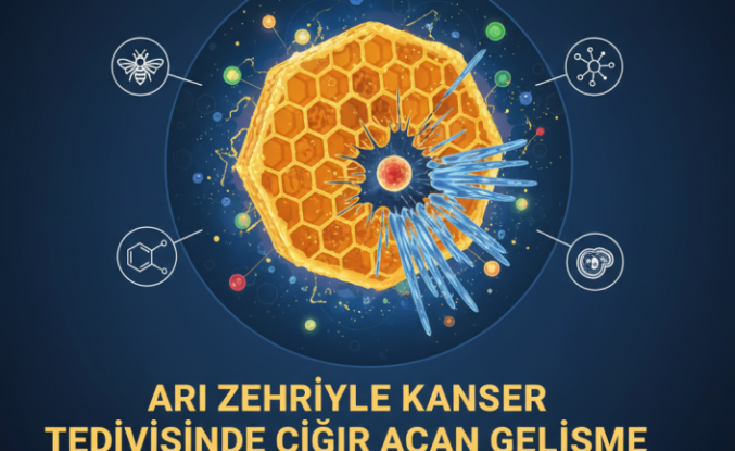 Bal Arısı Zehri Bileşeni Melittin: Onkolojide Hedeflenmiş Tedavilere Doğru Bilimsel İnceleme
