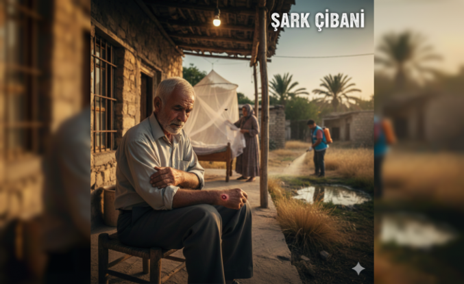 Güneydoğuda Sıcaklarla Gelen Sessiz Tehlike: Şark Çıbanı