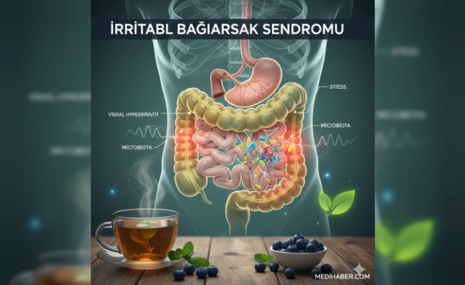 Karın Ağrısının Gizli Sebebi: İrritabl Bağırsak Sendromu