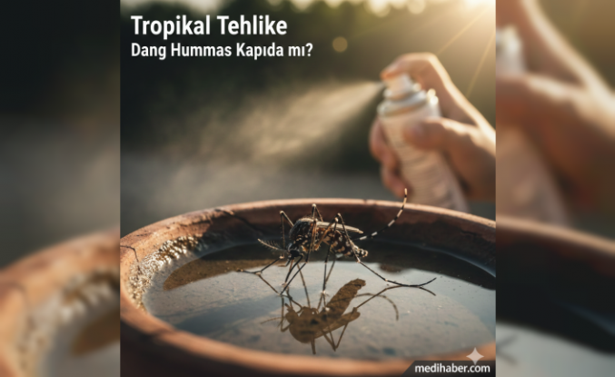 Tropikal Tehlike: Dang Humması Kapıda mı?